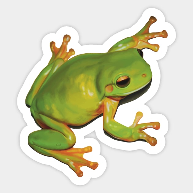 Gorgeous Green Tree Frog. Australian green frog. Cute frog illustration, realistically drawn Sticker by PlumpPlumStudio